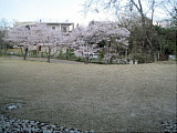 4月の活動