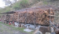 4月の活動