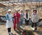 「穴窯焼成」の窯焚き