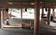 5月の活動