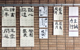 12月の活動