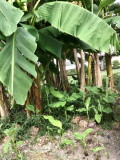 8月の活動