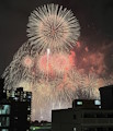 8月の活動