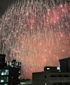 8月の活動