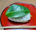 10月の活動