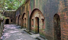 2024年の活動報告